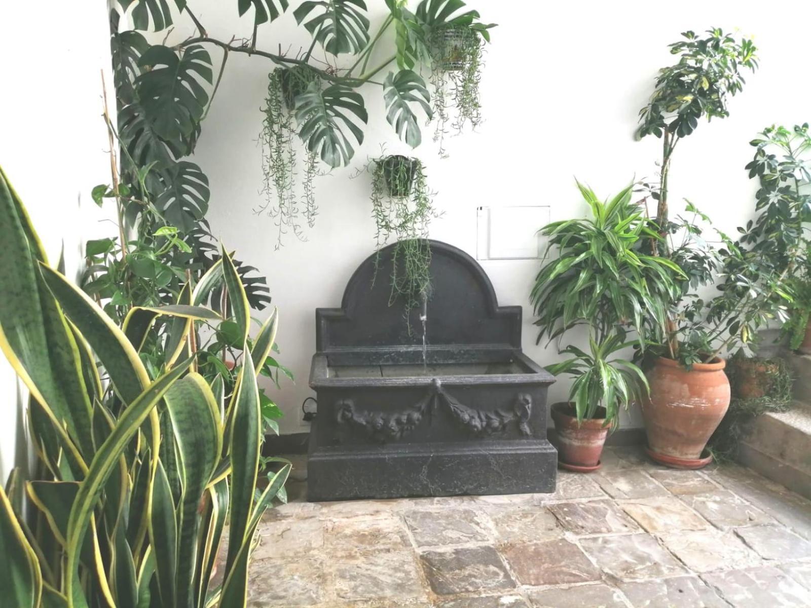 Appartement Ave Maria 7 à Tarifa Extérieur photo